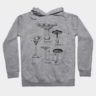 Wild Mushroom | For Fungi Foraging Fungiphiles Hoodie